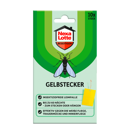 Vorderseite von Nexa Lotte Gelbstecker - 10 Stück