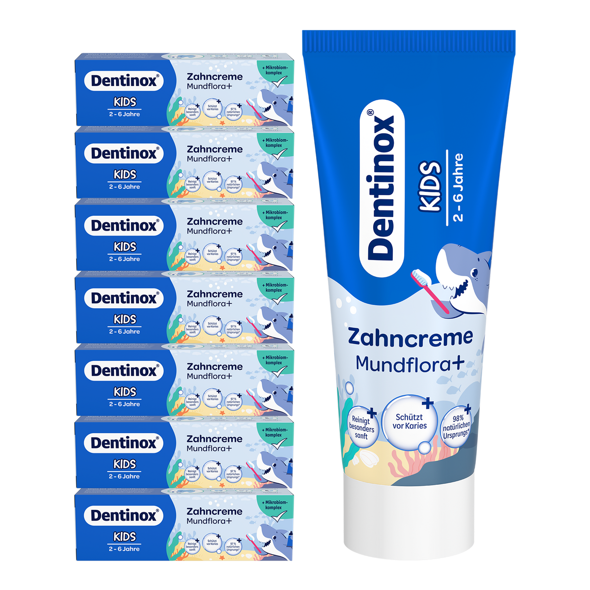Vorderseite von Dentinox Zahncreme Mundflora Kids