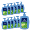 Vorderseite von Felce Azzurra Flüssigseife Antibacterial Mint&Lime