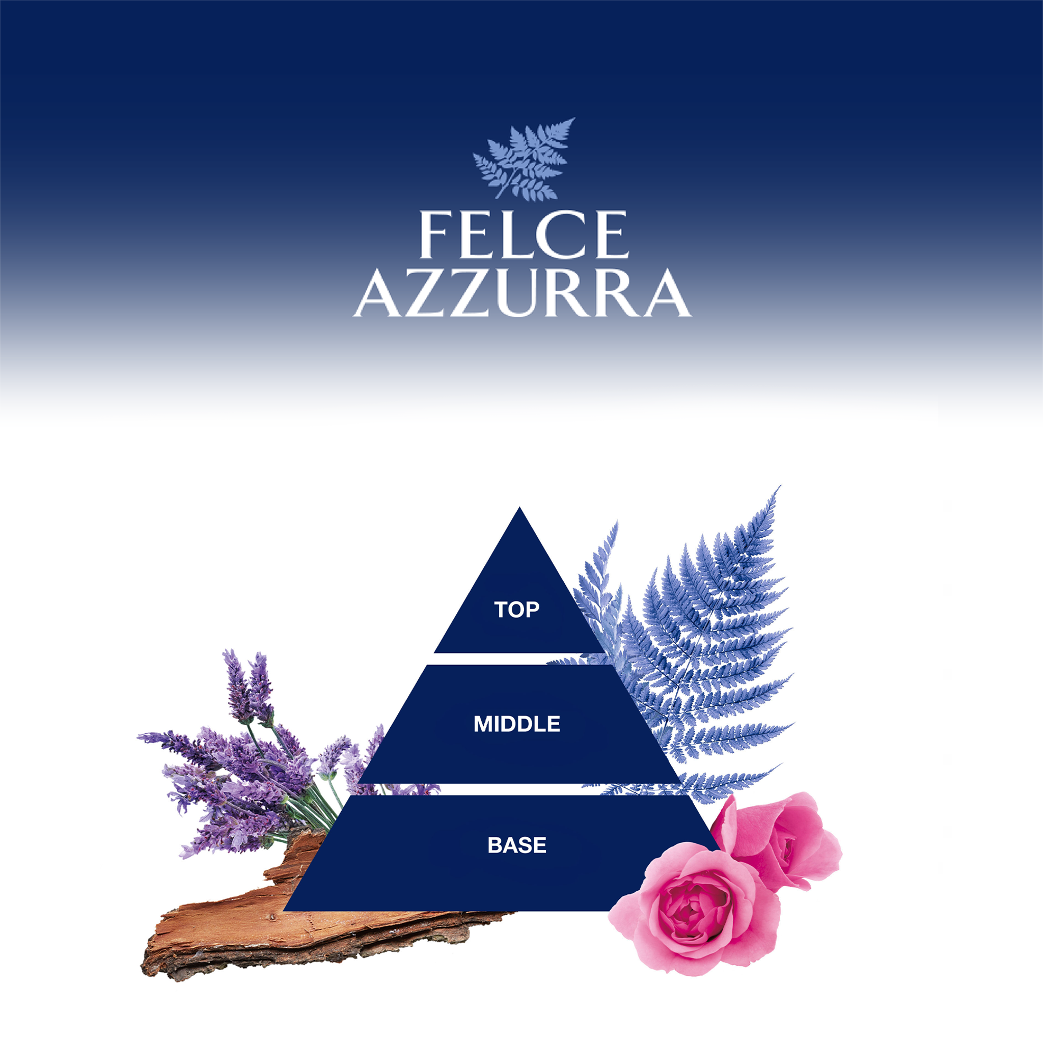 Dreieck mit Inhaltsstoffen in Schrift und Illustration auf weißem Grund unter Logo auf Blau