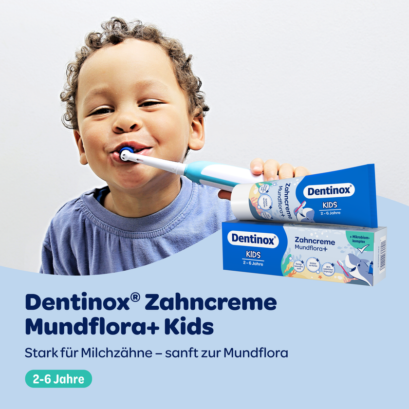 Zähne putzender Junge und blauer Balken mit Schrift und Dentinox Zahncreme Mundflora Kids