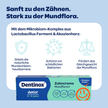 Text im weißen Kasten und auf blauem Hintergrund mit Icons und Dentinox Zahncreme Mundflora Junior