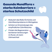 Text im weißen Kasten und auf blauem Hintergrund mit illustriertem Hai