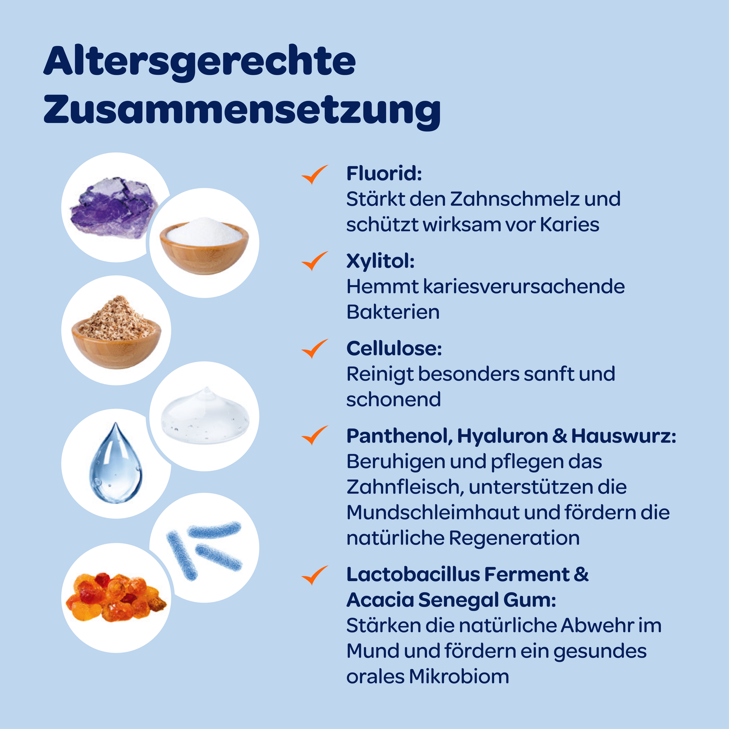 Text auf blauem Grund und Inhaltsstoffen von Dentinox Zahncreme Mundflora Junior