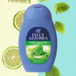Felce Azzurra Duschgel Mint and Lime - 12x250ml