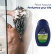 Felce Azzurra Man Duschgel Power Sport - 12 x 250ml