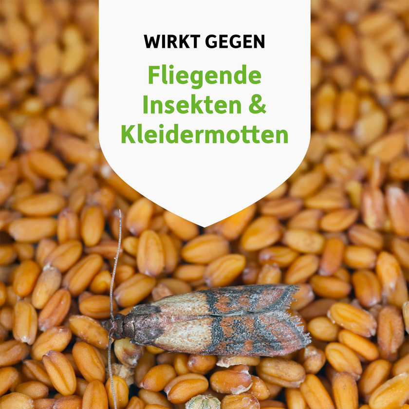 Motte auf Lebensmittel und Schrift auf weißem Wappen