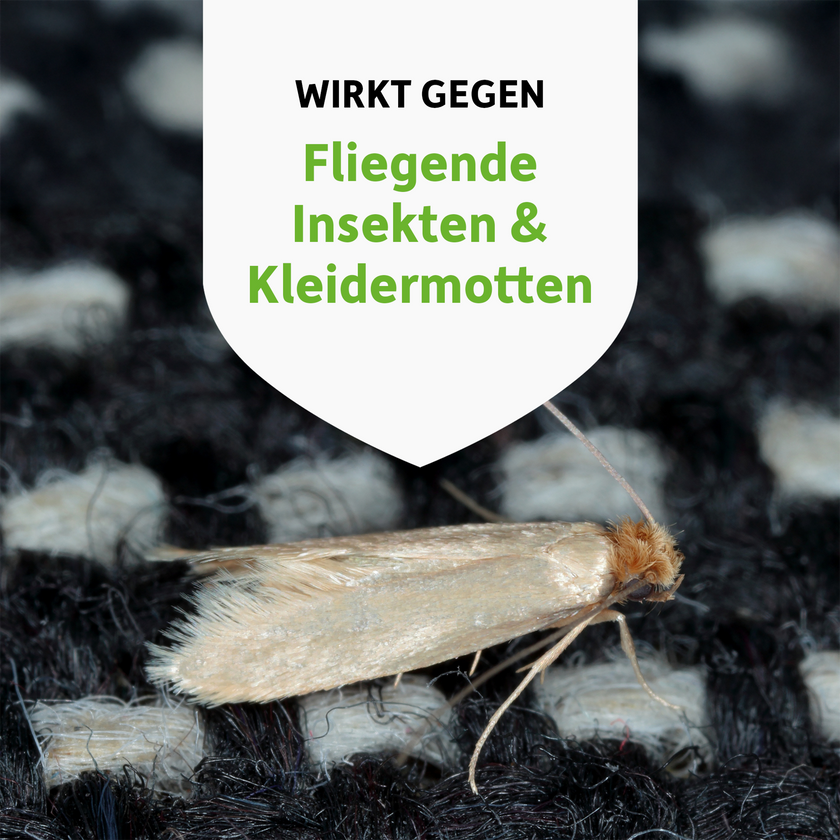 Motte auf Textil und Schrift auf weißem Wappen