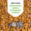 Lebensmittelmotte auf Essen und Schrift auf weißem Wappen