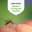 Nahaufnahme von Mücke auf Haut und Schrift auf weißem Wappen