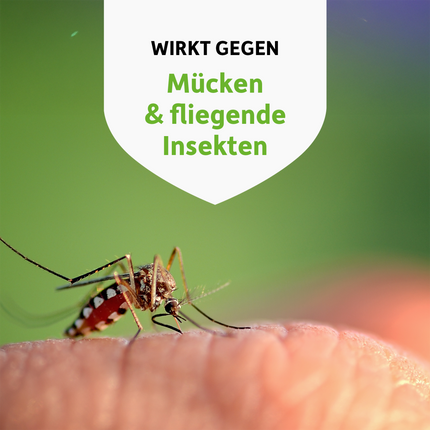 Nahaufnahme von Mücke auf Haut und Schrift auf weißem Wappen