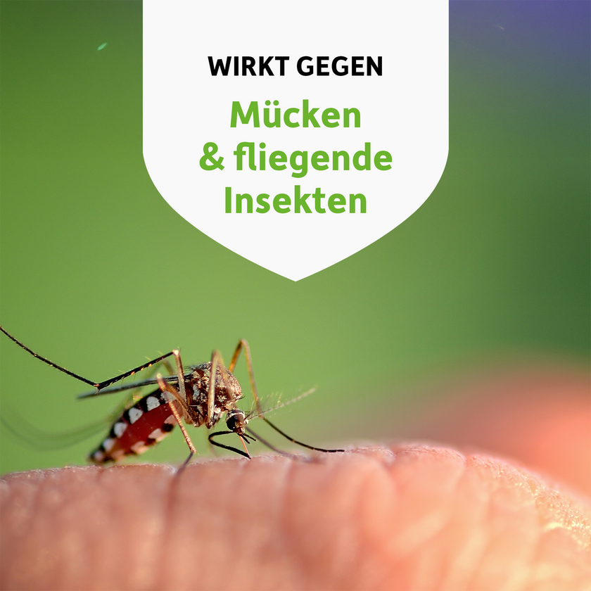 Nahaufnahme von Mücke auf Haut und Schrift auf weißem Wappen