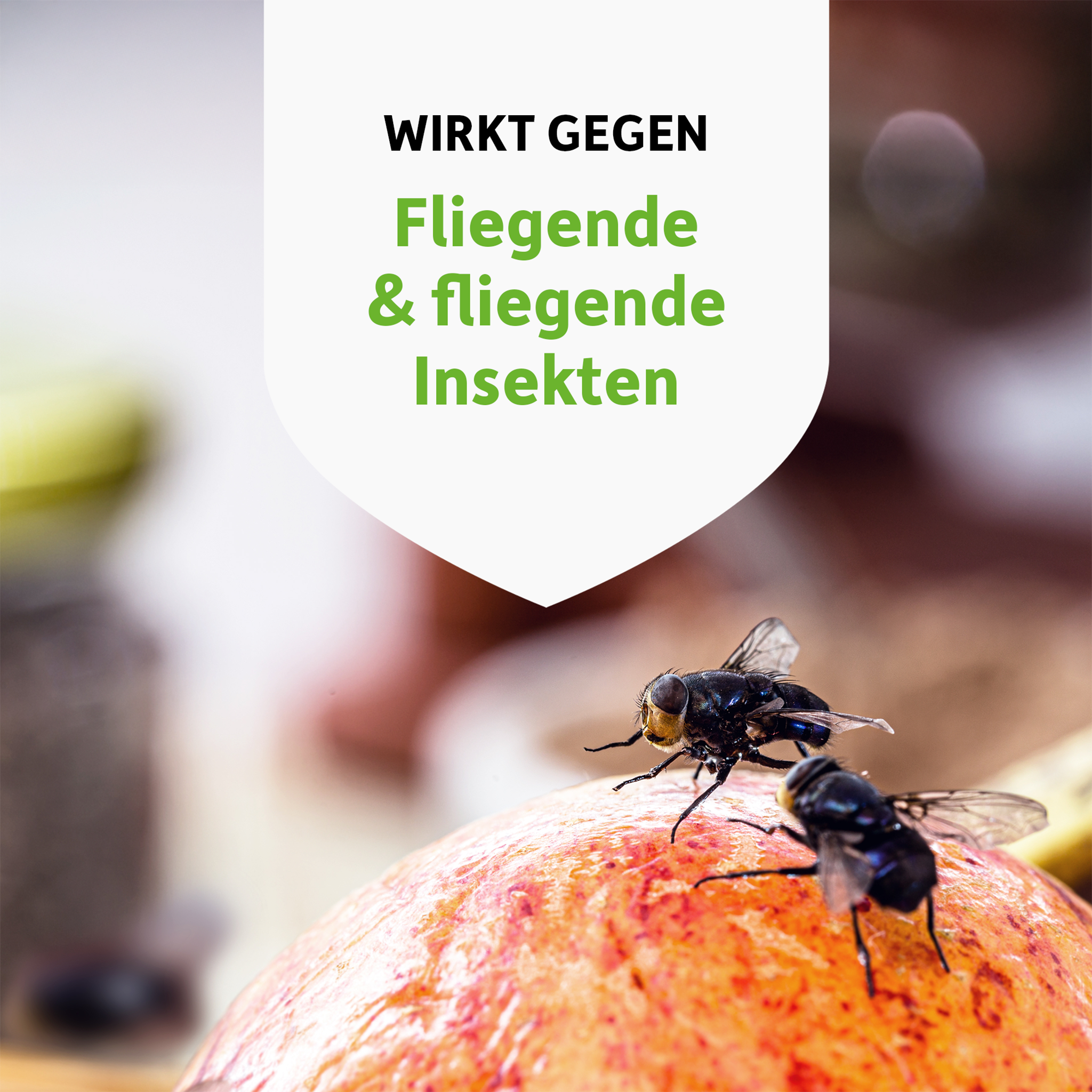 Fliege auf Apfel und Schrift auf weißem Wappen