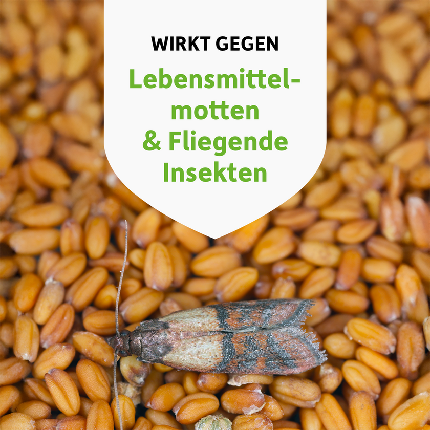 Lebensmittelmotte auf Lebensmittel und Schrift auf weißem Wappen