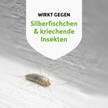 Silberfischchen auf hellem Boden und Schrift auf weißem Wappen