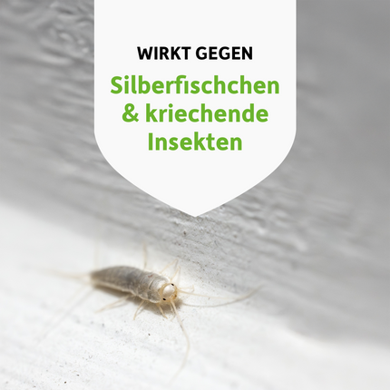Silberfischchen auf hellem Boden und Schrift auf weißem Wappen