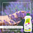 Hand in Lavendelblüten im Hintergrund und weißer Rahmen mit Schrift im Störer und Planet Pure Universal Waschmittel Lavendel Flasche