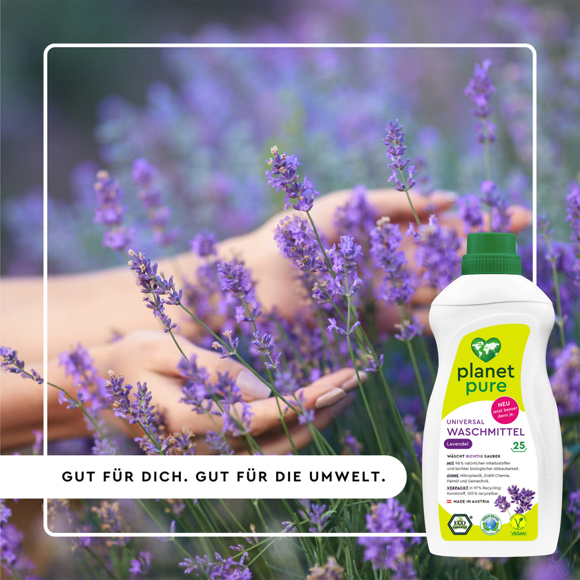 Hand in Lavendelblüten im Hintergrund und weißer Rahmen mit Schrift im Störer und Planet Pure Universal Waschmittel Lavendel Flasche