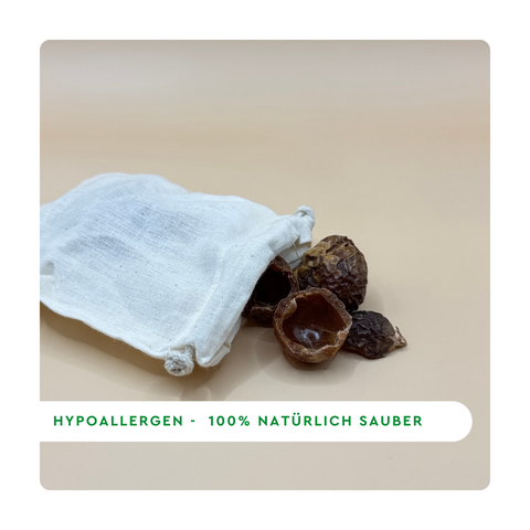 Planet Pure Bio Waschnuss einzeln liegend vor beigem Hintergrund in weißem Säckchen