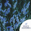 Felce Azzurra Körperpuder Beutel - Lavendel
