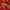 Carmex Naturally Stick Wassermelone - red backround