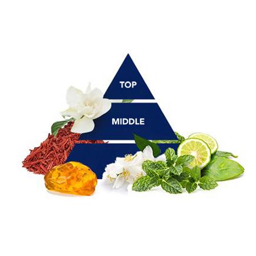 Felce Azzurra Flüssigseife Antibacterial Mint&Lime - Inhaltsstoffe