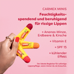 Carmex Minis Strawberry/Pineapple Mint/Cherry - 15g
