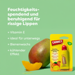 Merkmale von Carmex Peach Mango Tube und Carmex Peach Mango Tube Blister mit Mango daneben