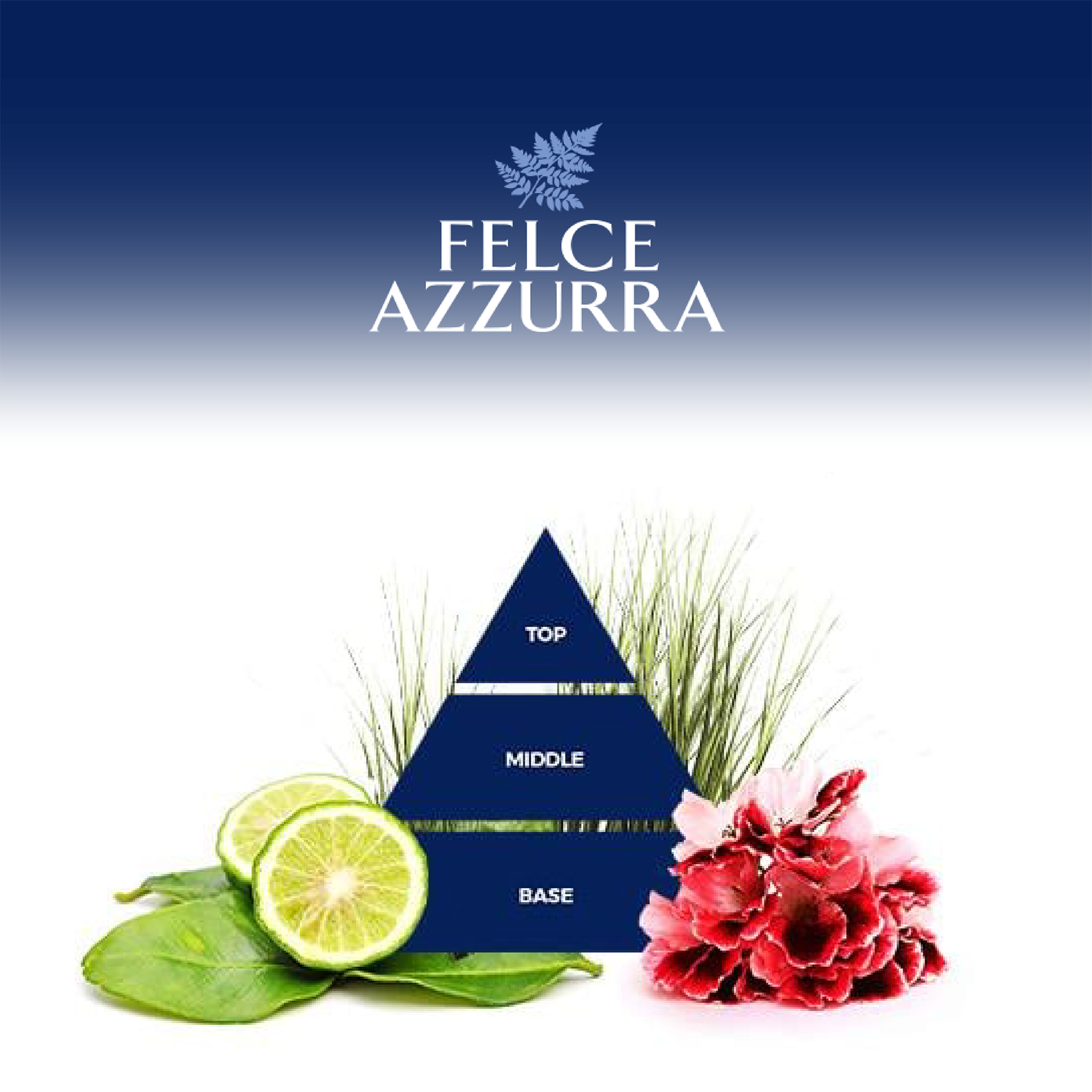 Felce Azzurra Man Duschgel CoolBlue - 12 x 250ml