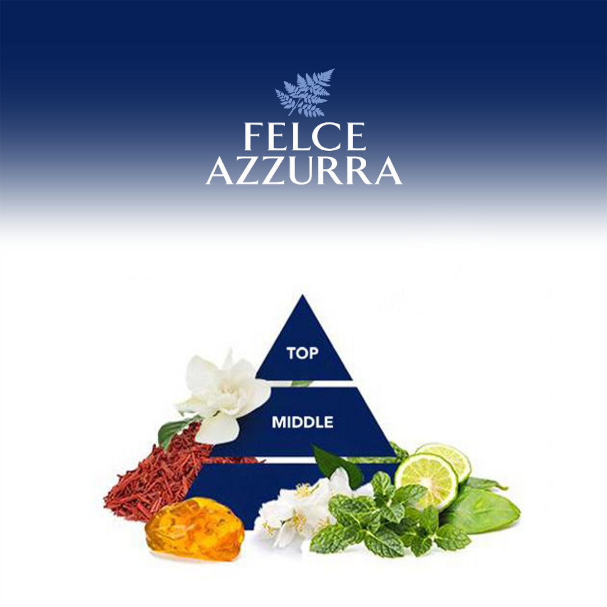 Felce Azzurra Duschgel Mint and Lime - 12x250ml