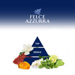 Felce Azzurra Duschgel Mint and Lime - 12x250ml