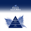 Pyramide mit Düften von Felce Azzurra Body Wash Classic