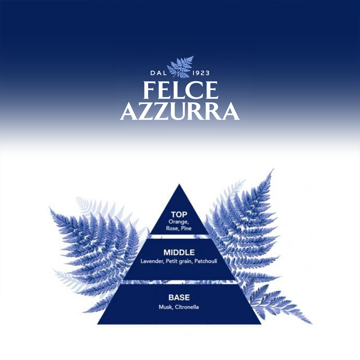 Pyramide mit Text über die Düfte von Felce Azzurra Duschgel Classic