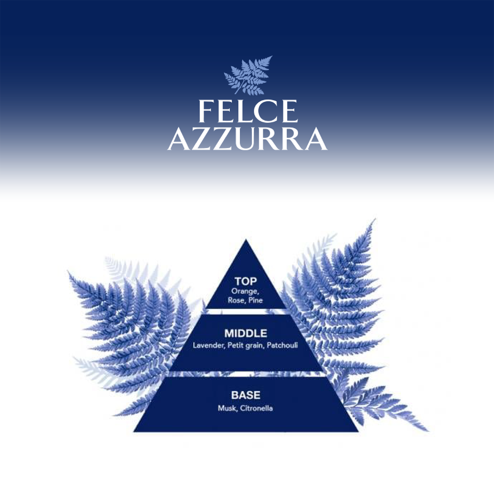 Pyramide mit Text über die Düfte von Felce Azzurra Duschgel Classic