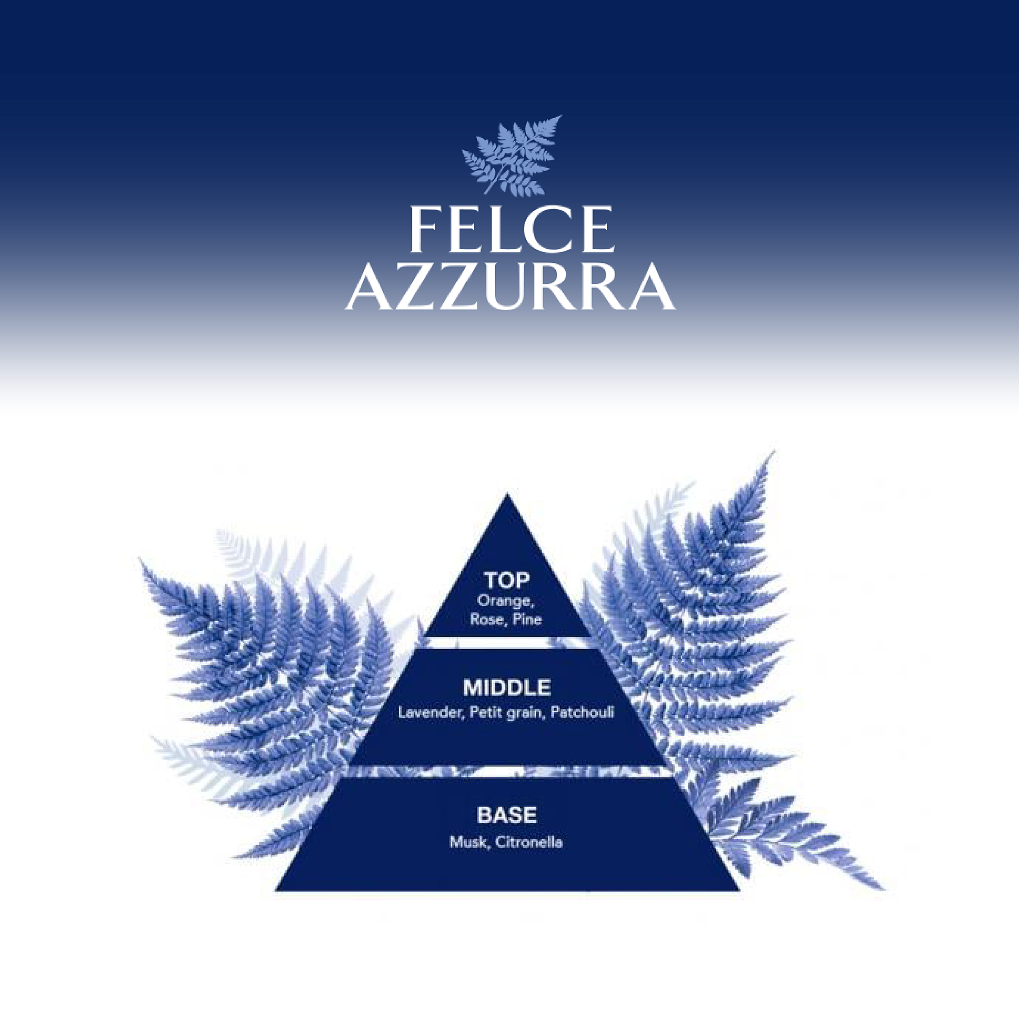 Pyramide mit Düften von Felce Azzurra Duschgel Classic und Farn im Hintergrund