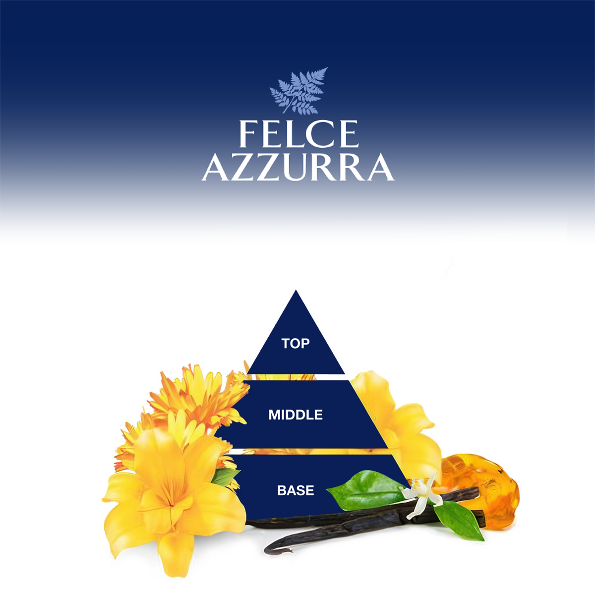 Dreieck mit Inhaltsstoffen in Schrift und Illustration auf weißem Grund unter Logo auf Blau