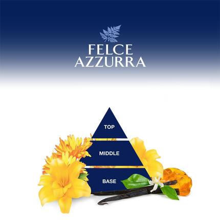 Dreieck mit Inhaltsstoffen in Schrift und Illustration auf weißem Grund unter Logo auf Blau