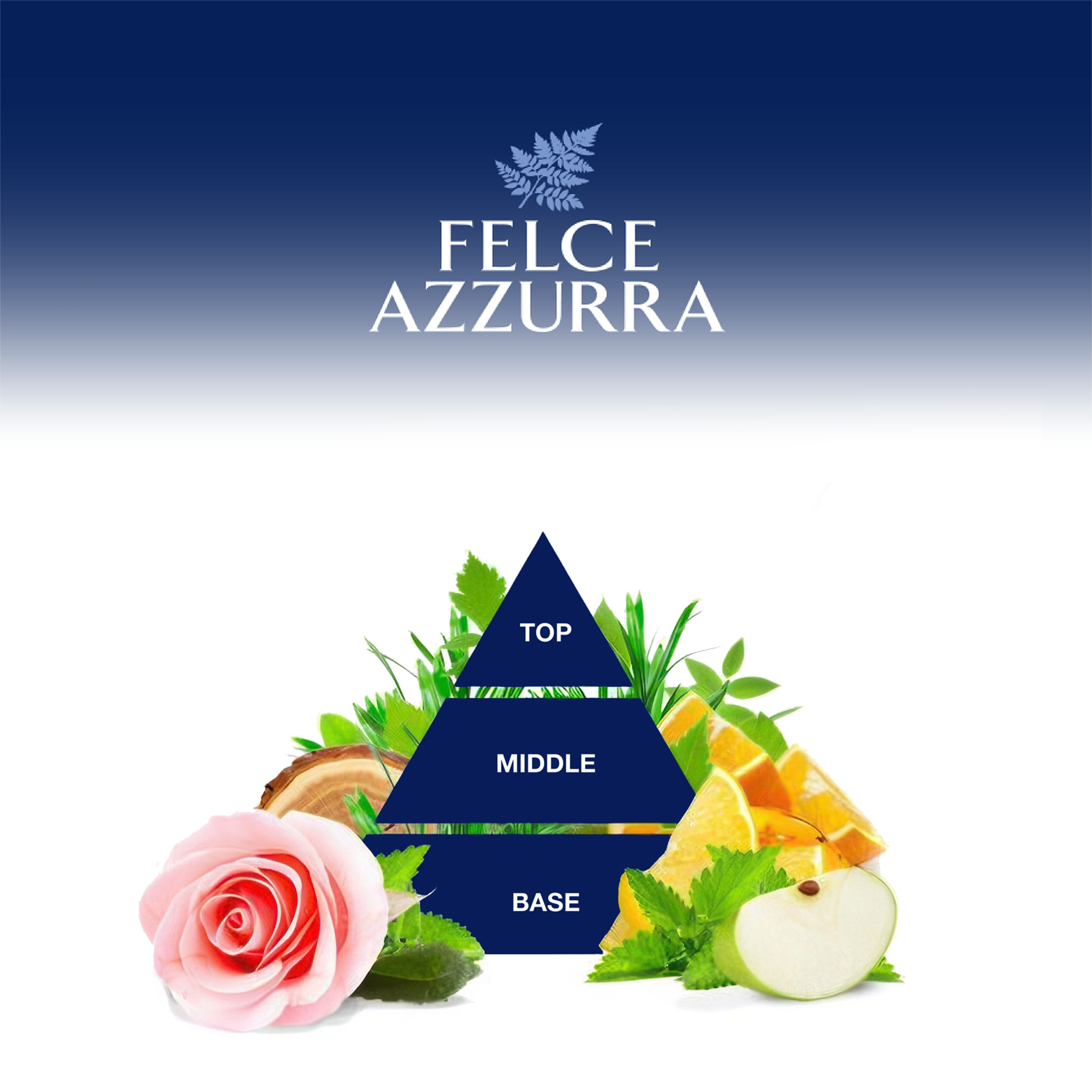 Dreieck mit Inhaltsstoffen in Schrift und Illustration auf weißem Grund unter Logo auf Blau