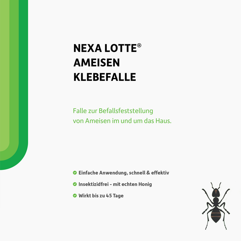 Schrift und illustrierte Ameise auf weißem Grund