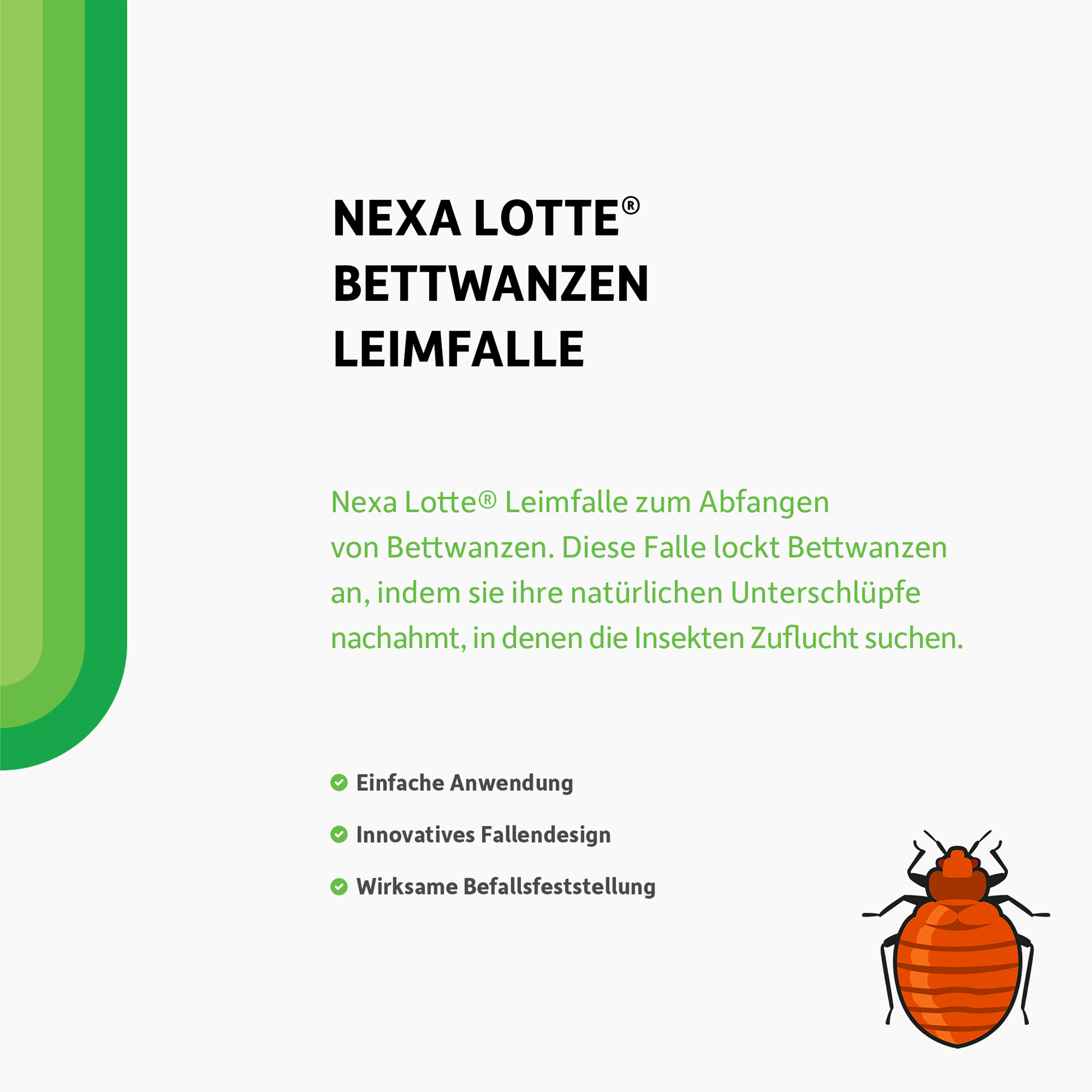 Schrift und illustrierte Bettwanze auf wießem Grund