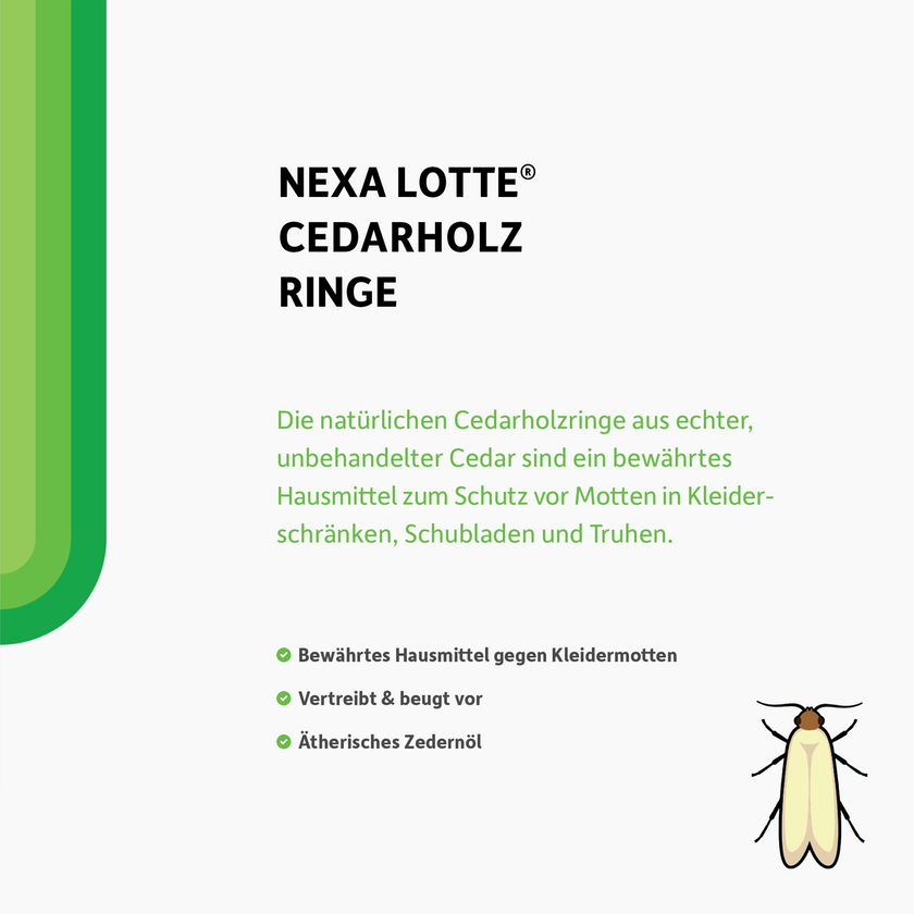 Schrift und illustrierte Motte auf weißem Grund