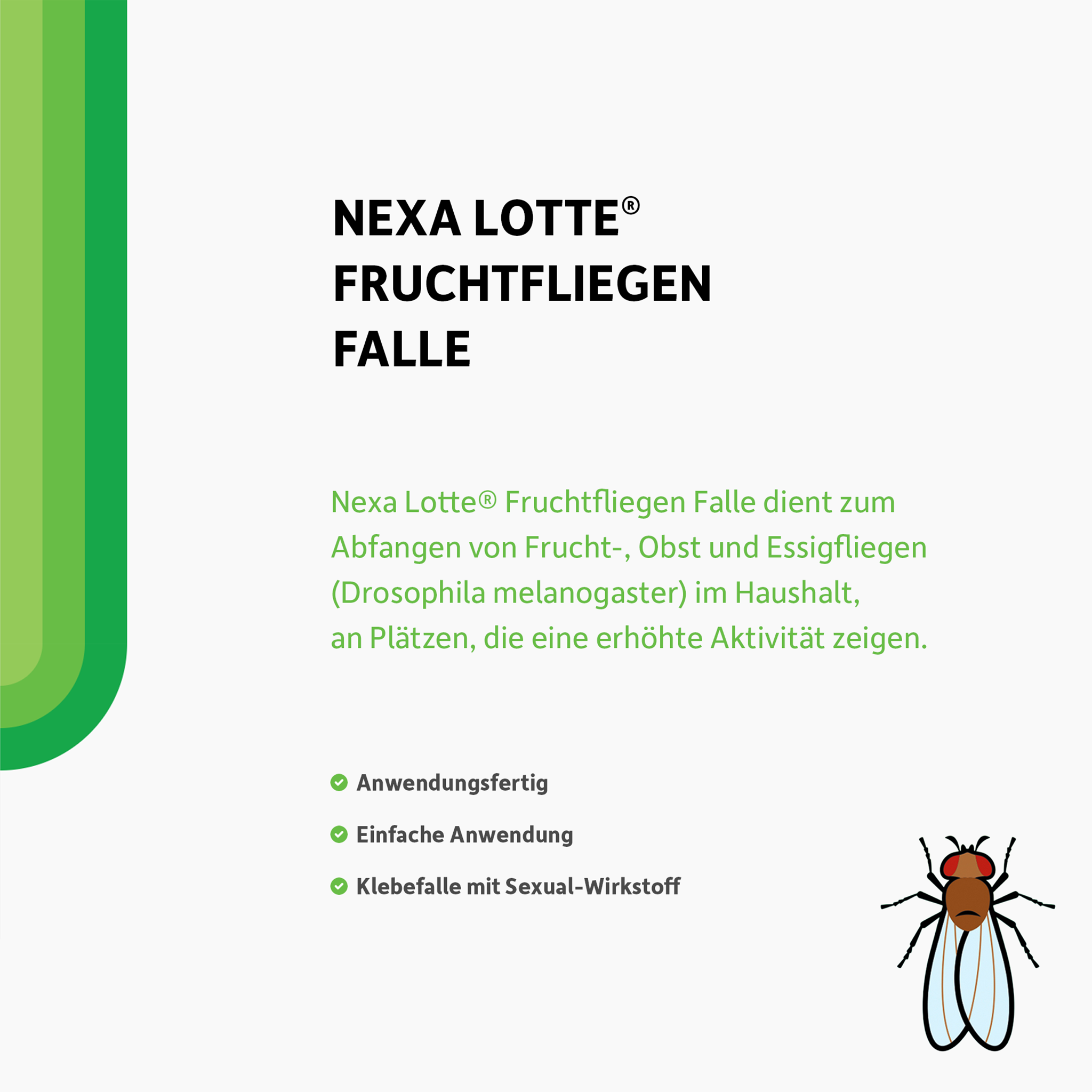 Schrift und illustrierte Fruchtfliege auf weißem Grund