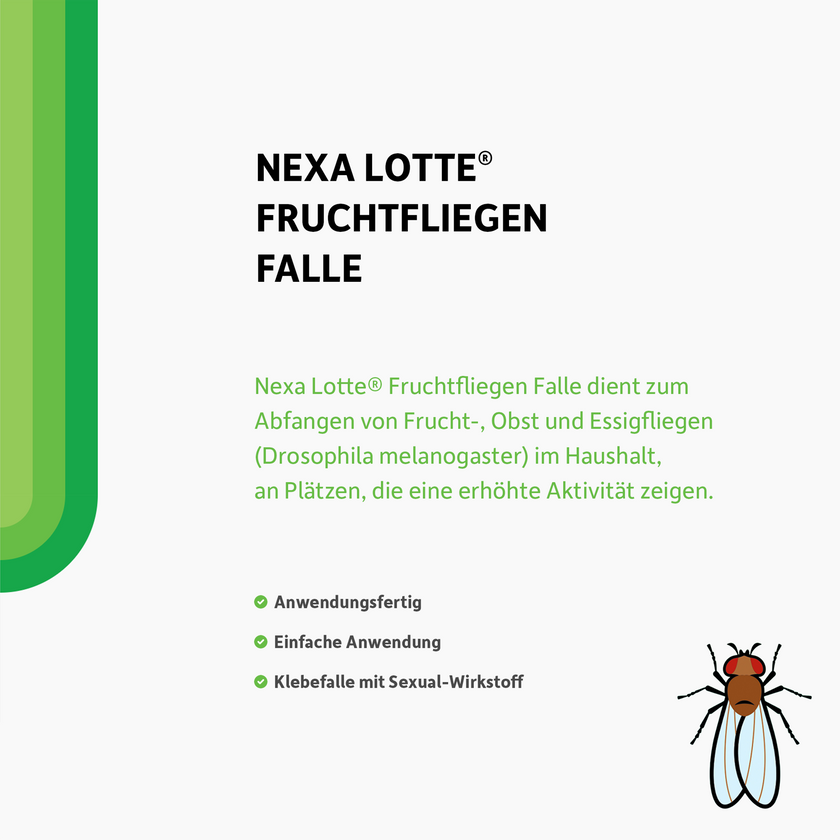 Schrift und illustrierte Fruchtfliege auf weißem Grund