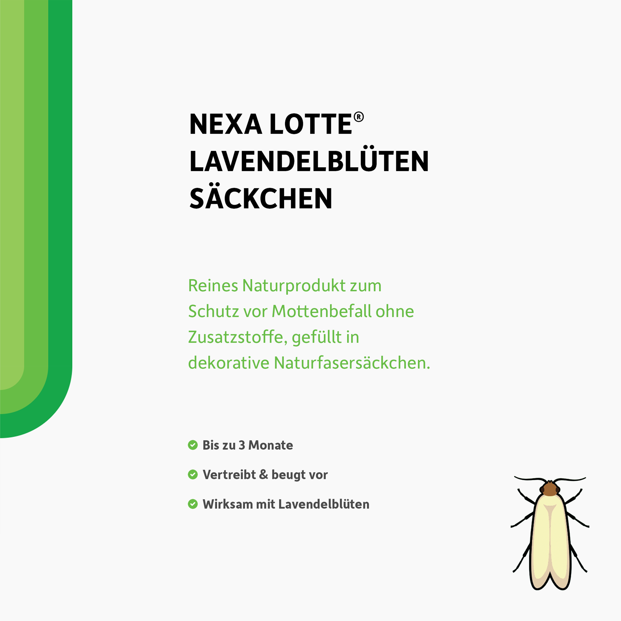 Schrift und illustrierte Motte auf weißem Grund