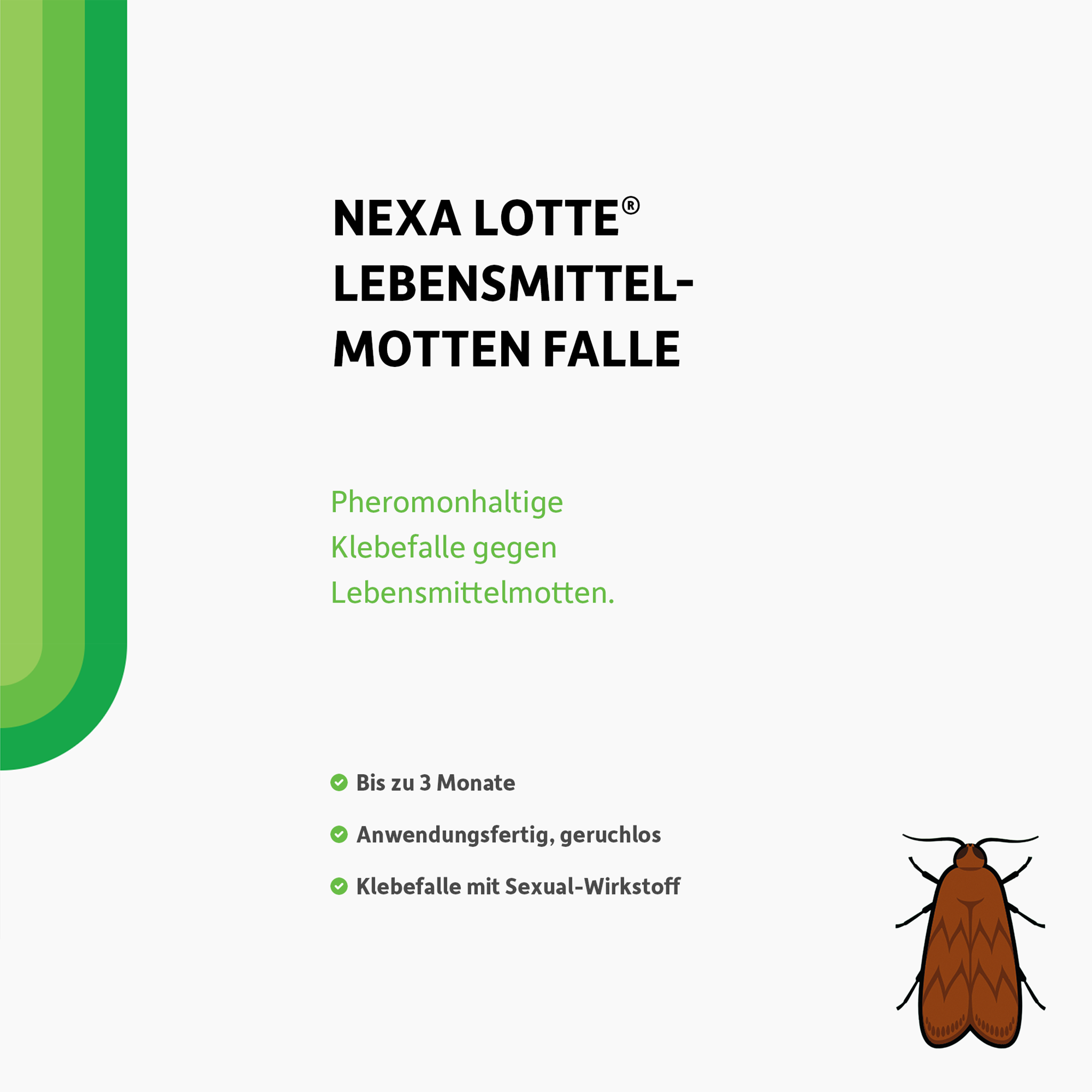 Schrift und illustrierte Motte auf weißem Grund
