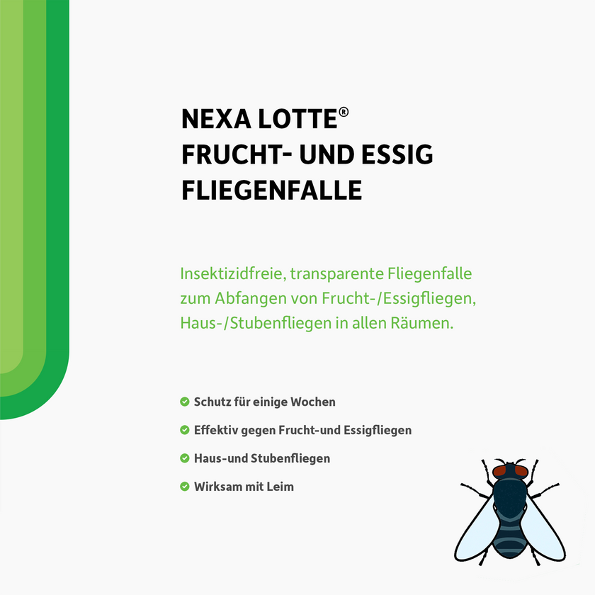Schrift und illustrierte Fliege auf weißem Grund