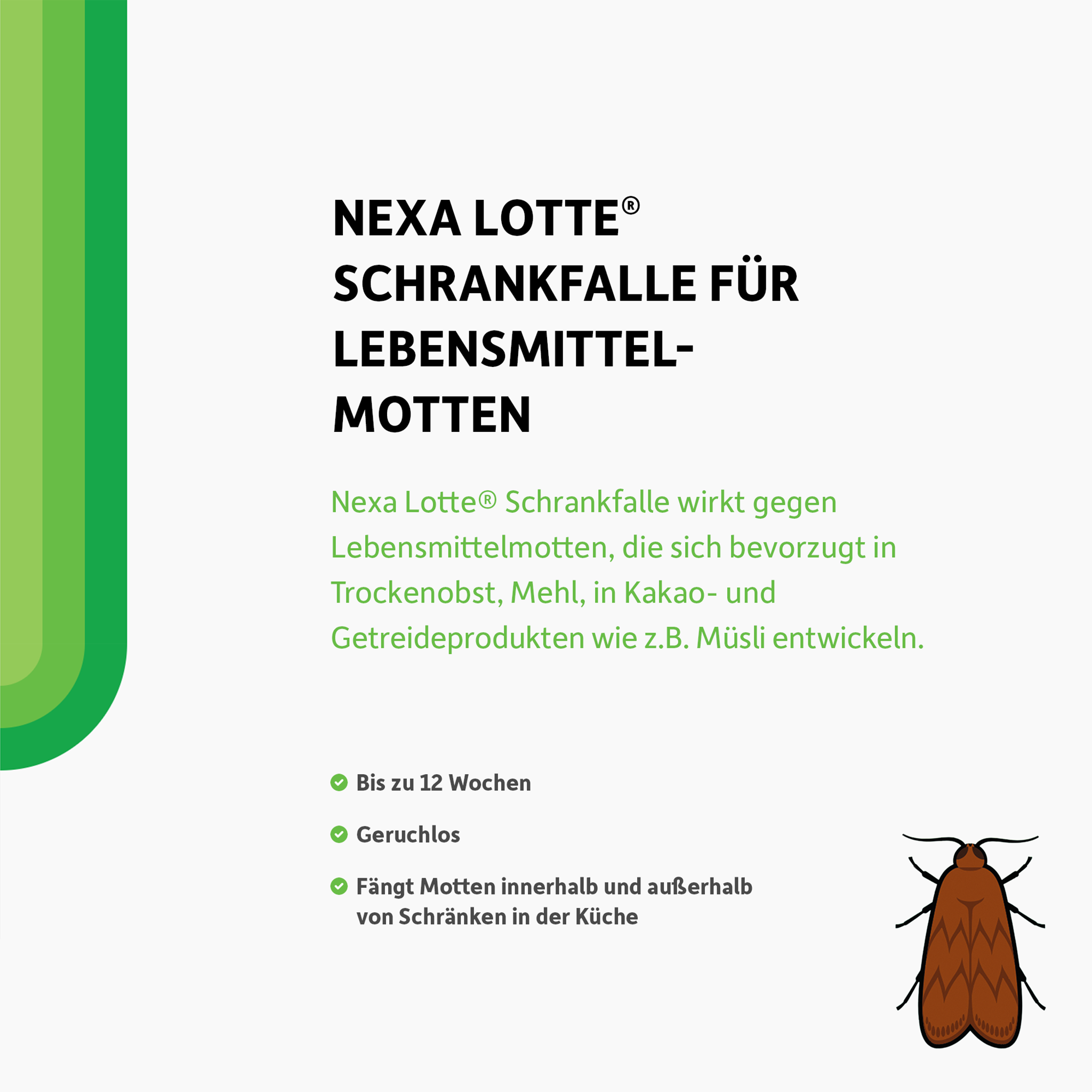 Schrift und illustrierte Motte auf weißem Grund