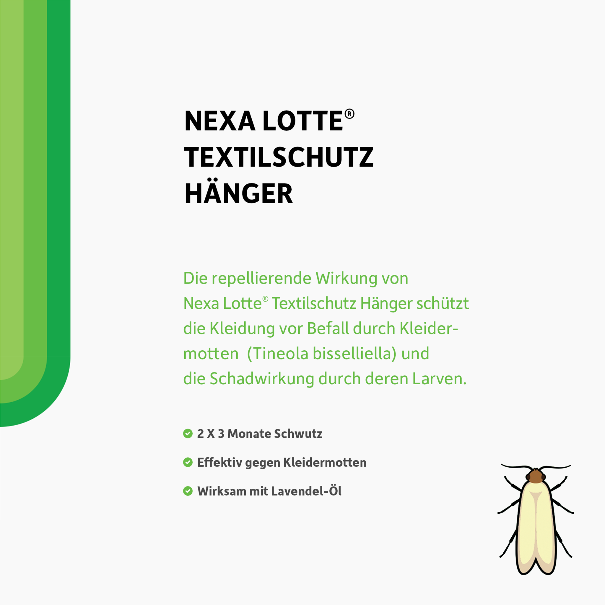 Schrift und Illustration einer Kleidermotte auf weißem Grund und grüne Linien