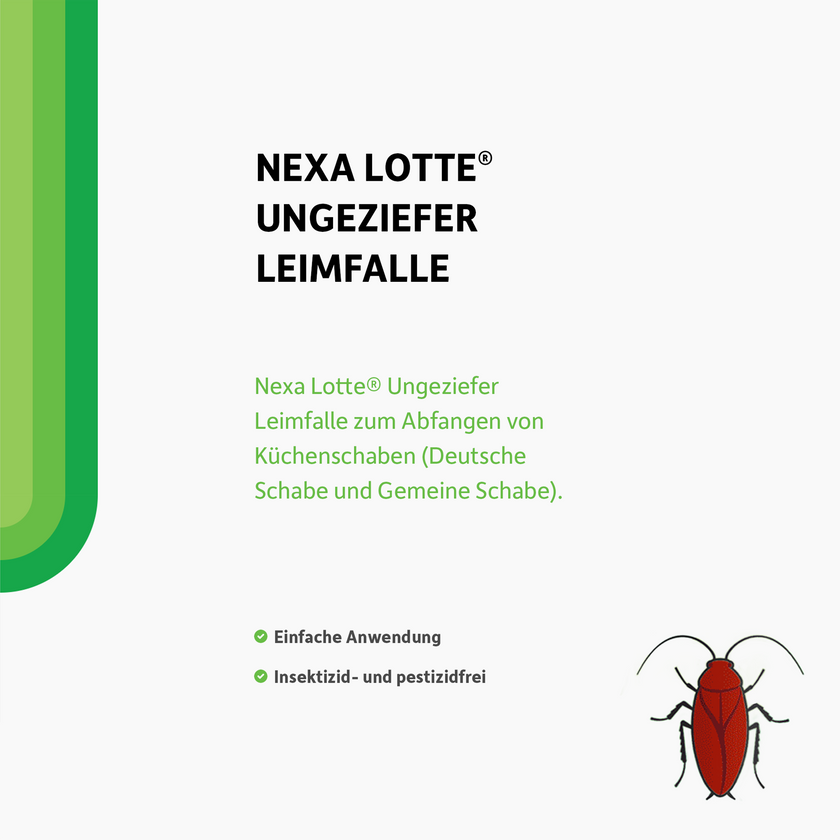 Schrift und illustrierte Kakerlake auf weißen Grund