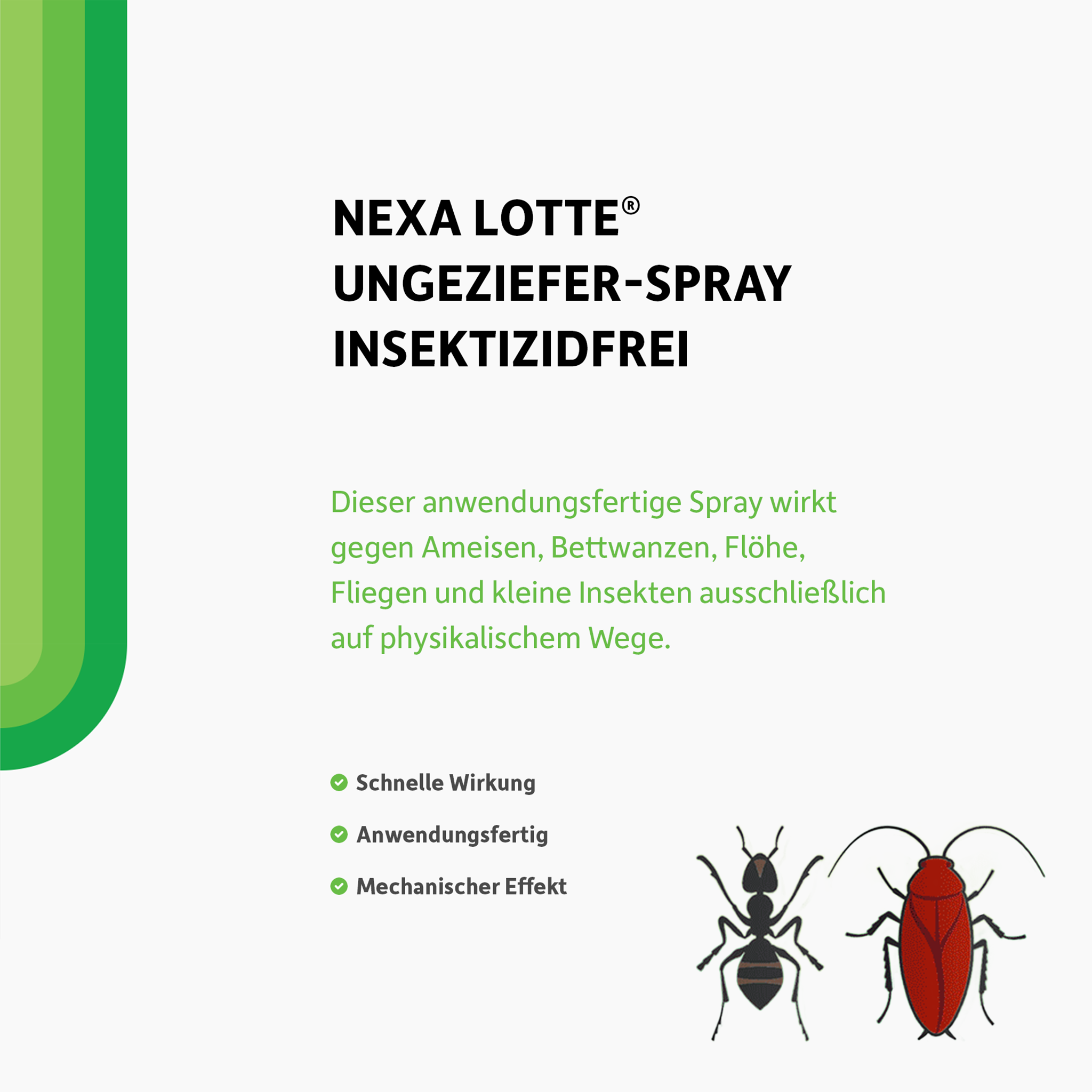 Schrift und illustrierte Ameise und Käfer auf weißem Grund